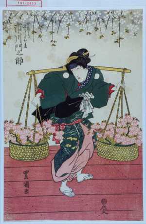 Utagawa Toyokuni I: 「女花うり滝川のお松 市川門之助」 - Waseda University Theatre Museum
