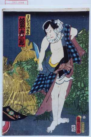 Toyohara Kunichika: 「まむしの次郎吉 坂東彦三郎」 - Waseda University Theatre Museum