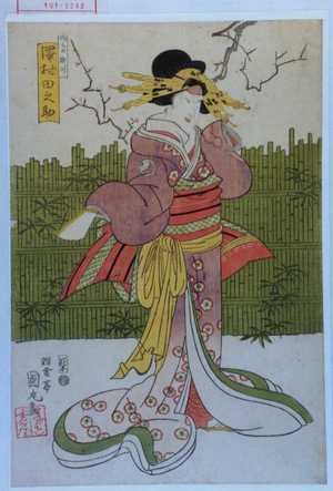 国丸: 「つちや梅川 沢村田之助」 - Waseda University Theatre Museum