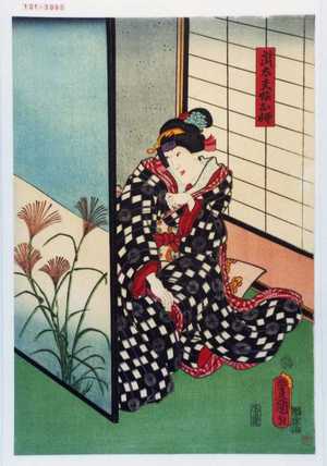 Utagawa Toyokuni III, 歌川豊国〈3〉 (豊国〈3〉)による浮世絵「「武太夫娘お柳」」