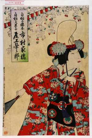 Utagawa Toyosai: 「白拍子桜木 市村家橘」「白拍子花子 尾上栄三郎」 - Waseda University Theatre Museum
