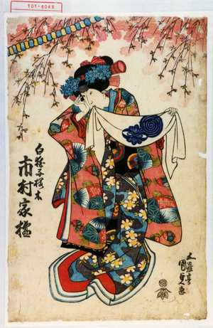 Utagawa Kunisada: 「白拍子桜木 市村家橘」 - Waseda University Theatre Museum