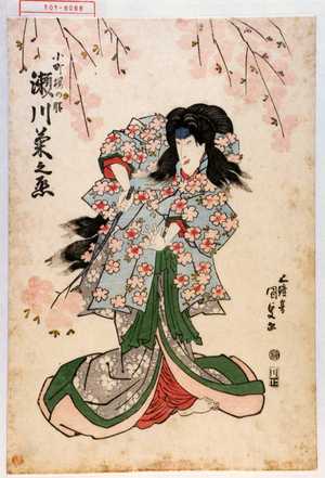 Utagawa Kunisada: 「小町桜の精 瀬川菊之丞」 - Waseda University Theatre Museum