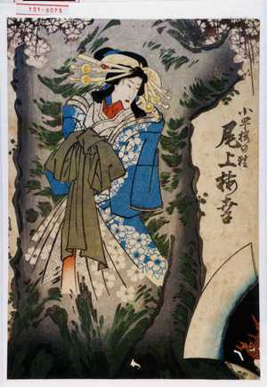 Utagawa Kunisada: 「小町桜の精 尾上梅幸」 - Waseda University Theatre Museum