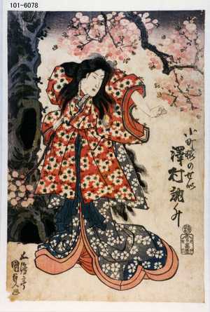 Utagawa Kunisada: 「小町桜のせゐ 沢村訥升」 - Waseda University Theatre Museum