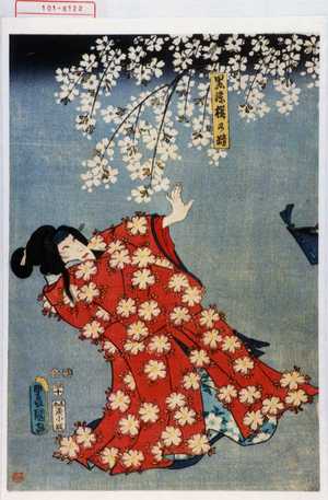 Utagawa Toyokuni III, 歌川豊国〈3〉 (豊国〈3〉)による浮世絵「「墨染桜の精」」