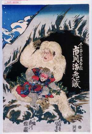 Utagawa Kunisada: 「金平の霊白猿 市川海老蔵」 - Waseda University Theatre Museum