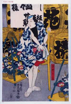 Japanese Print "「若竹の亀」" by Utagawa Toyokuni III, 歌川豊国〈3〉 (豊国〈3〉)