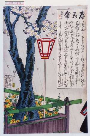 Toyohara Kunichika: 「春雨傘」 - Waseda University Theatre Museum
