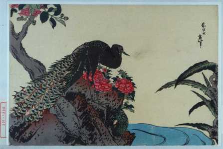 Katsushika Hokusai: − - Waseda University Theatre Museum