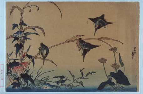 Katsushika Hokusai: − - Waseda University Theatre Museum