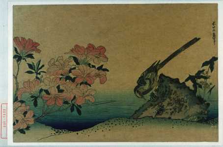 Katsushika Hokusai: − - Waseda University Theatre Museum