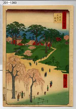 Utagawa Hiroshige: 「名所江戸百景」「日暮里寺院の林泉」 - Waseda University Theatre Museum