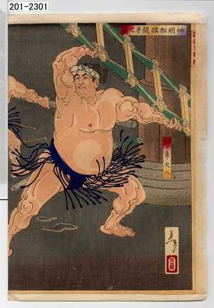 Tsukioka Yoshitoshi: 「神明相撲闘争之図」「四ツ車大八」 - Waseda University Theatre Museum