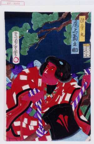 Morikawa Chikashige: 「怪童丸 尾上菊之助」 - Waseda University Theatre Museum