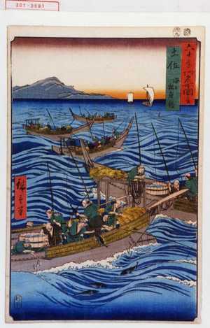 Utagawa Hiroshige: 「六十余州名所図会」「土佐 海上松魚釣」 - Waseda University Theatre Museum
