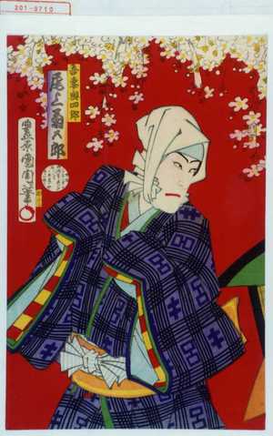 Toyohara Kunichika: 「吾妻与四郎 尾上菊五郎」 - Waseda University Theatre Museum