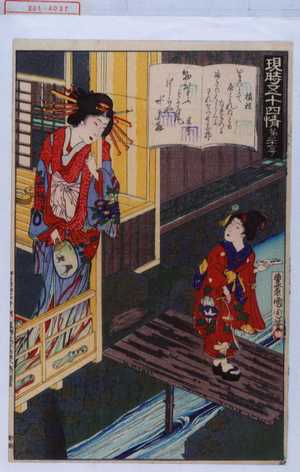 Toyohara Kunichika: 「現時五十四情 第三十一号」 - Waseda University Theatre Museum