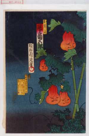 Toyohara Chikanobu: 「お岩ノ霊 尾上菊五郎」 - Waseda University Theatre Museum