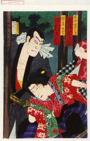 Unknown: 「忠次女房お万 岩井松之助」「岩窪玄哲 中村芝翫」 - Waseda University Theatre Museum