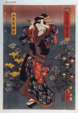 Utagawa Kunisada: 「秋野七草☆の景」「山名屋浦里」 - Waseda University Theatre Museum