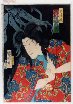 Toyohara Kunichika: 「白縫姫 沢村田之助」 - Waseda University Theatre Museum