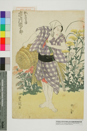 Utagawa Toyokuni I: 「紙屋治兵衛 市川団十郎」 - Waseda University Theatre Museum