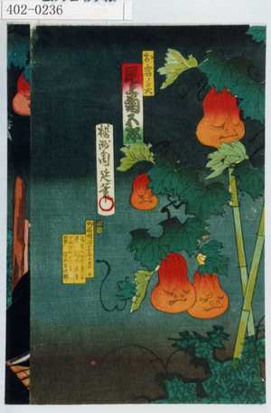 Toyohara Chikanobu: 「お岩ノ霊 尾上菊五郎」 - Waseda University Theatre Museum