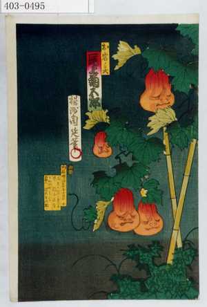 Toyohara Chikanobu: 「お岩ノ霊 尾上菊五郎」 - Waseda University Theatre Museum