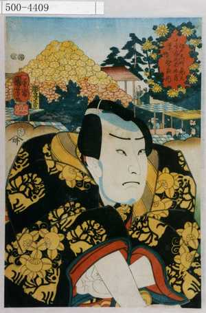Utagawa Kuniyoshi: 「江戸名所見立十二ヶ月之内 九月 巣鴨 智恵内」 - Waseda University Theatre Museum
