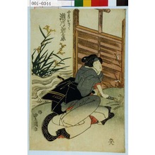 歌川豊国: 「女房おきく 瀬川菊之丞」 - 演劇博物館デジタル