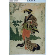 Utagawa Toyokuni I: 「中居おみや 岩井半四郎」 - Waseda University Theatre Museum