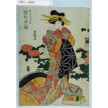 Utagawa Toyokuni I: 「大いそのとら 沢村田之助」 - Waseda University Theatre Museum