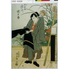 Utagawa Kunisada, 歌川国貞 (国貞〈1〉)による浮世絵「「[]☆伝内 市川団十郎」」