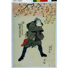 Utagawa Kunisada, 歌川国貞 (国貞〈1〉)による浮世絵「「二役 花見帰りのなまゑい 坂東三津五郎」」