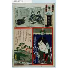 Utagawa Kunisada: 「江戸の花名勝会」「白ふじ 河原崎権十郎」 - Waseda University Theatre Museum