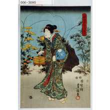 Utagawa Kunisada: 「納涼むしきゝ」 - Waseda University Theatre Museum