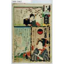 Utagawa Kunisada: 「江戸の花名勝会」「俳女秋☆ 沢村田之助」 - Waseda University Theatre Museum