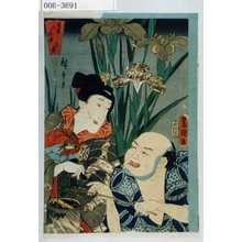 Utagawa Kunisada: 「当盛六花撰 菖蒲」 - Waseda University Theatre Museum