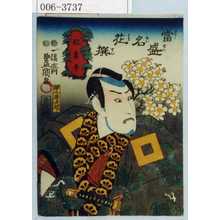 Japanese Print "「当盛名花撰」「奴妻平」" by Utagawa Toyokuni III, 歌川豊国〈3〉 (豊国〈3〉)