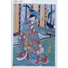 Japanese Print "「ゆめの桜姫」" by Utagawa Toyokuni III, 歌川豊国〈3〉 (豊国〈3〉)