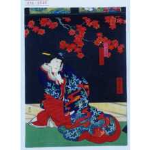 Utagawa Yoshitaki, 歌川芳滝 (芳滝)による浮世絵「「藤まき 中村芝蔵」」