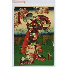 Utagawa Toyokuni III, 歌川豊国〈3〉 (豊国〈3〉)による浮世絵「「由留木息女桜姫」」