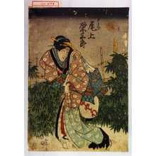 Japanischer Druck "「[]おそで 下り 尾上栄三郎」" von Utagawa Kunisada, 歌川国貞 (国貞〈1〉)