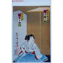 豊原国周: 「細川奥方敷波 市川団十郎」「同子息与七郎 坂東三田八」 - 演劇博物館デジタル