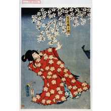 Utagawa Kunisada: 「墨染桜の精」 - Waseda University Theatre Museum