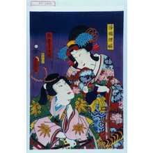 Utagawa Toyokuni III, 歌川豊国〈3〉 (豊国〈3〉)による浮世絵「「浄瑠理姫」「御曹子牛若」」