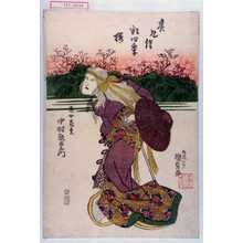 Utagawa Kunisada: 「其九絵彩四季桜」「老女花見 中村歌右衛門」 - Waseda University Theatre Museum