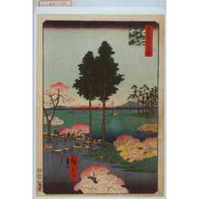 Utagawa Hiroshige: 「名所江戸百景」「日暮里☆」 - Waseda University Theatre Museum