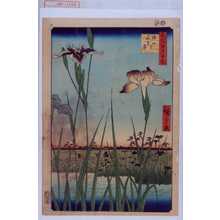 Utagawa Hiroshige: 「名所江戸百景」「堀切☆花菖蒲」 - Waseda University Theatre Museum